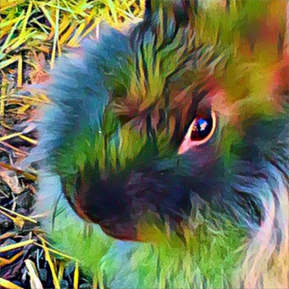 Meet your Posher, Sonja